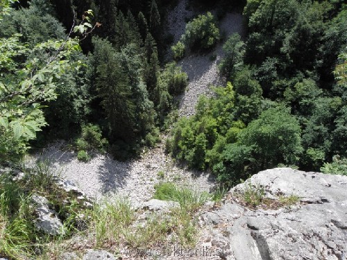 20100627_06.JPG