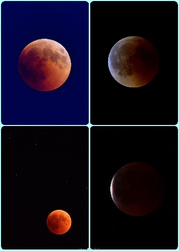 Collage_Fotor_luna.jpg