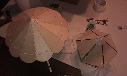 IMAG0461.jpg