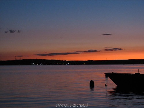 IMG_0265resize.jpg