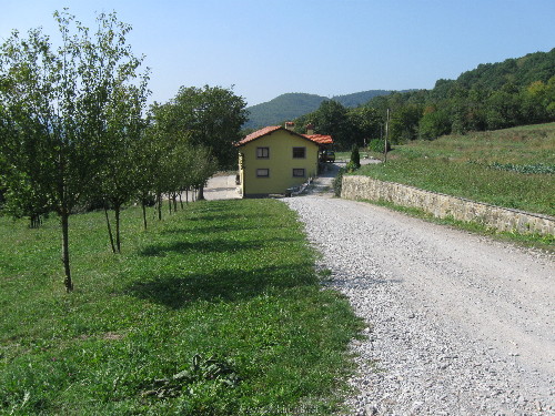 IMG_5067.JPG