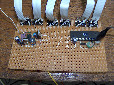 nixie ura 001.jpg