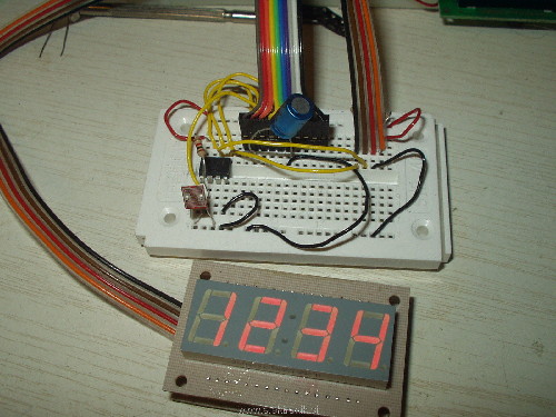 P1290056.JPG