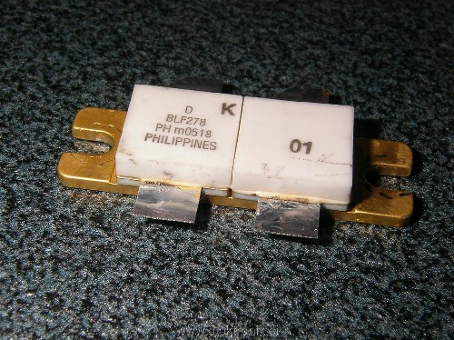 SANY1168 (Medium).JPG