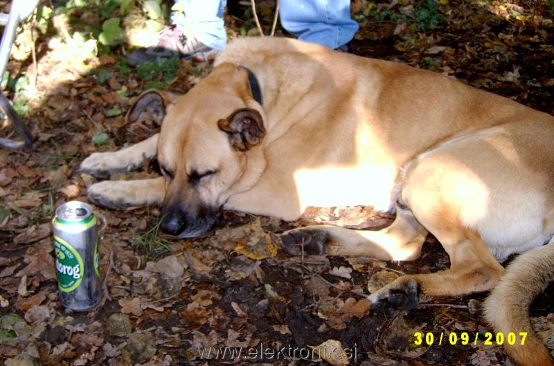 SV400128res.jpg