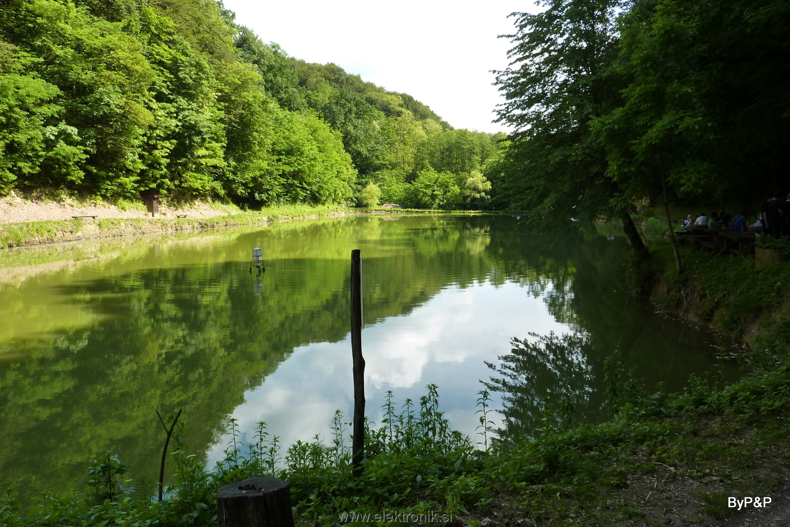 Ribnik spodnji del