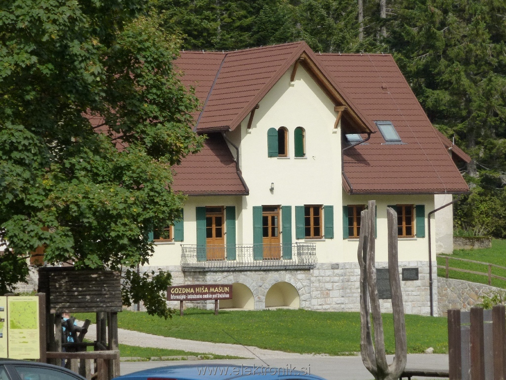gozdna hia