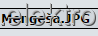 avq.png