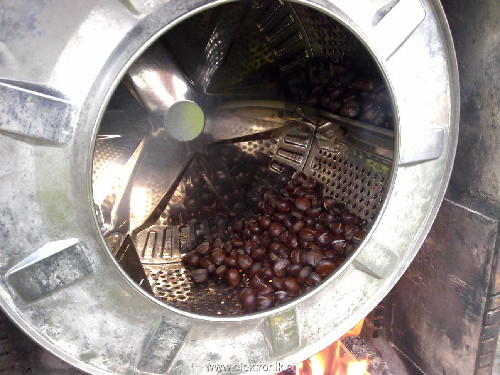 071020121560a.jpg
