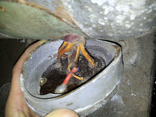 20130209_143702.jpg