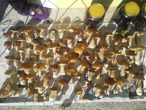 20130917_162105.jpg