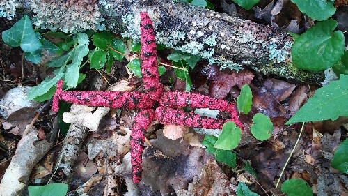 20140714_133421.jpg