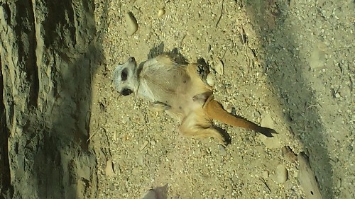 20140726_142222.jpg