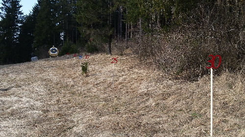 2015-03-22 15.14.43.jpg