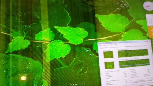 20150515_135005.jpg