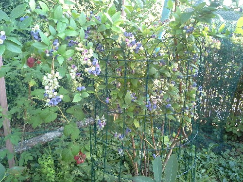 20150628_180418.jpg