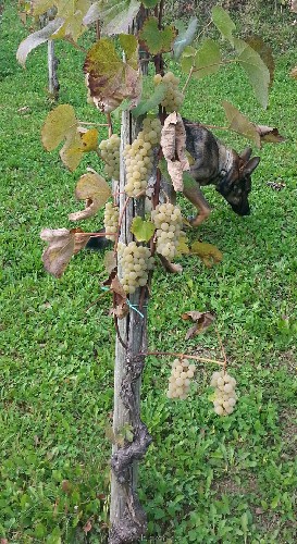 20161009_2.jpg
