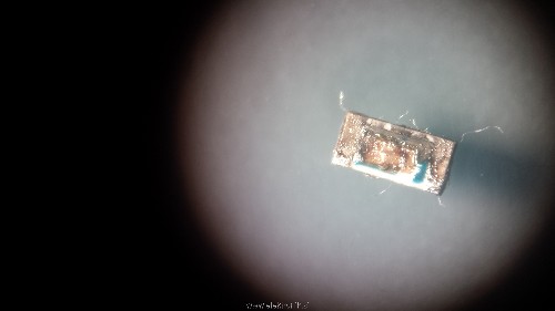 20170801_125839.jpg