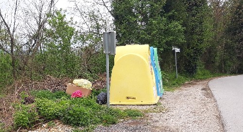 20230420_075533.jpg