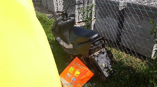 20230425_102220.jpg