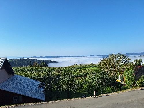20240821_081658.jpg