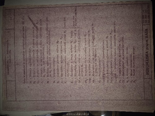 20250330_124033.jpg