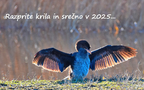 2025_01.JPG