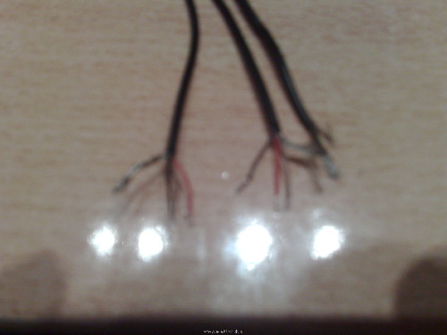 23032010153.jpg