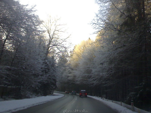 25032008386.jpg
