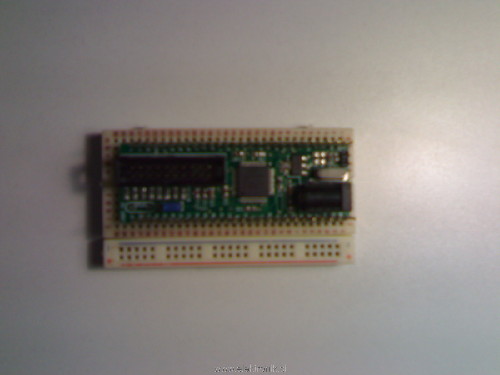 301020091959.jpg