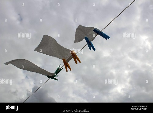 a-washing-line-used-for-drying-toilet-paper-on-a-windy-day-2BD204P.jpg