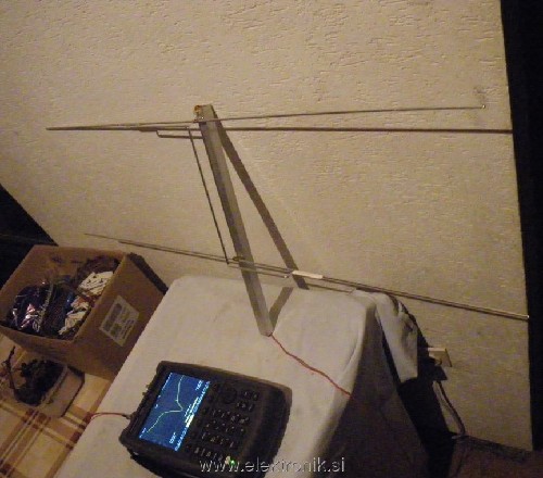 ant.JPG