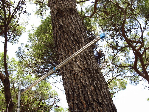 antena.JPG