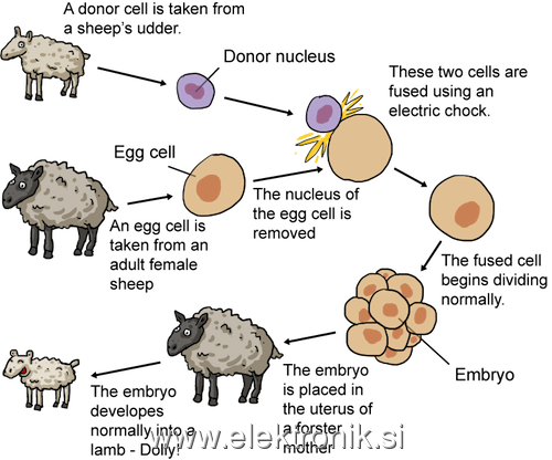 biobook_biotechnology_graphik_18.png