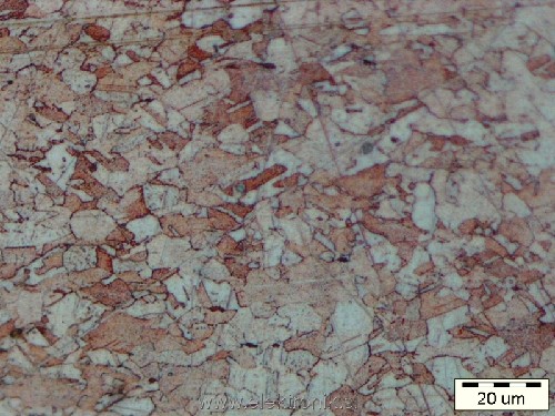 CC01 BF.jpg