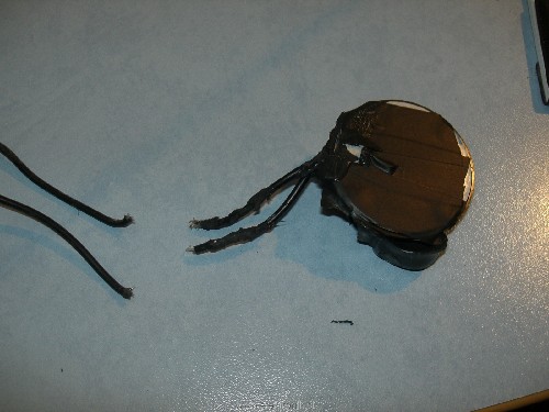 CIMG5661.JPG