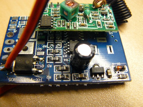 closeup 1.jpg