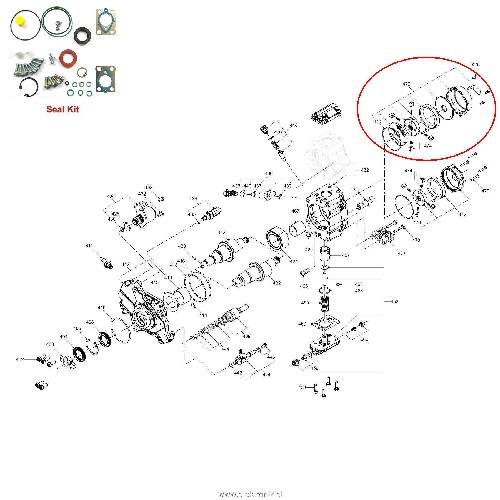 Delphi_DFP_3_4_oznaka.jpg
