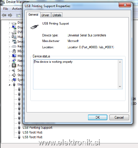 Device Manager.png