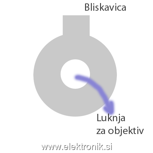 dish1.png