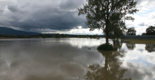 dobrava.JPG