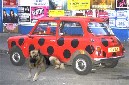 dog and car.jpg