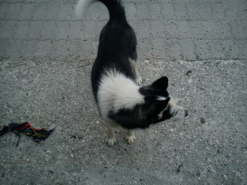 DSC00062.JPG