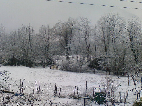 DSC00077.JPG