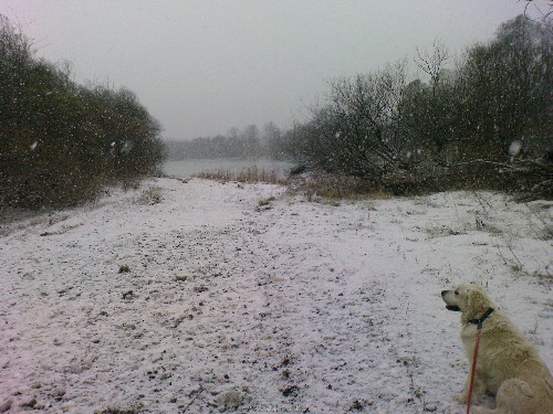 DSC00288.JPG