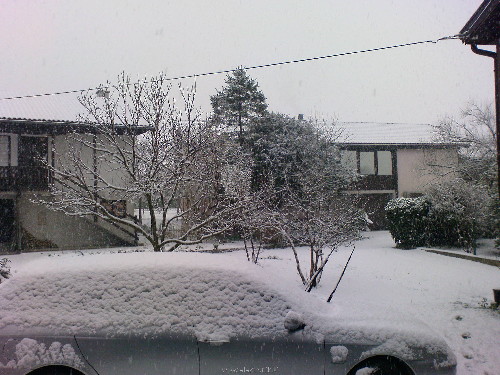 DSC00290.JPG