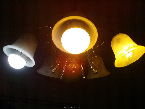 DSC00680.JPG