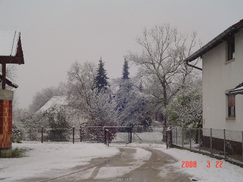 DSC03367.JPG