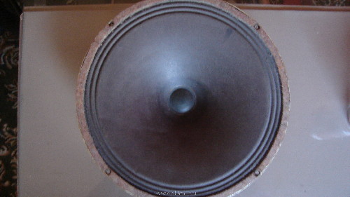 DSC03829.JPG