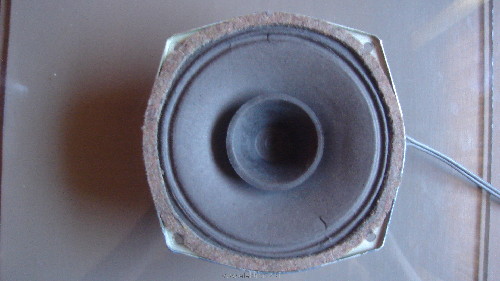 DSC03836.JPG